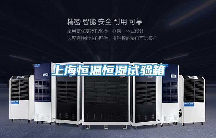上海恒温恒湿试验箱