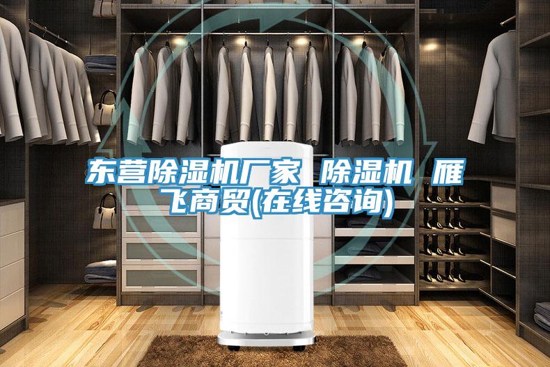 东营除湿机厂家 除湿机 雁飞商贸(在线咨询)