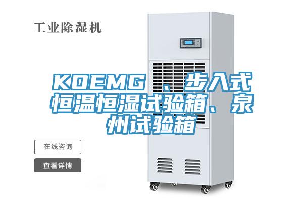 KOEMG 、步入式恒温恒湿试验箱、泉州试验箱