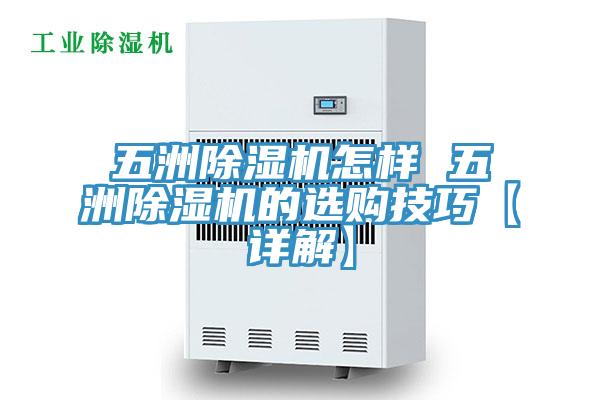 五洲除湿机怎样 五洲除湿机的选购技巧【详解】