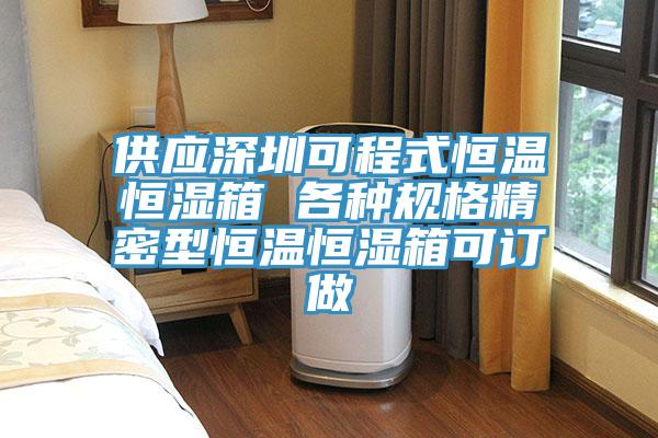 供应深圳可程式恒温恒湿箱 各种规格精密型恒温恒湿箱可订做