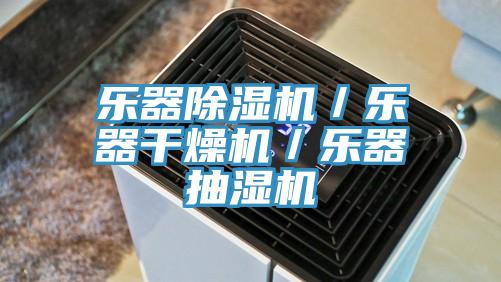 乐器除湿机/乐器干燥机/乐器抽湿机