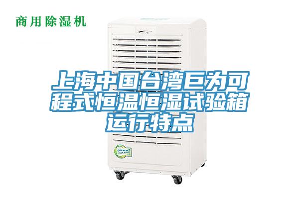 上海中国台湾巨为可程式恒温恒湿试验箱运行特点