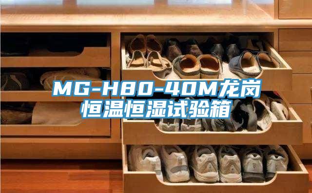 MG-H80-40M龙岗恒温恒湿试验箱