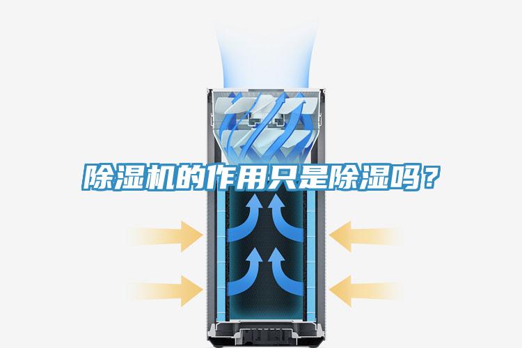 除湿机的作用只是除湿吗?