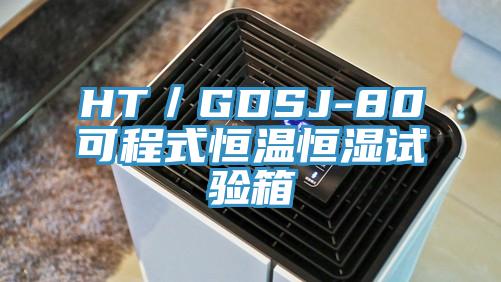 HT／GDSJ-80可程式恒温恒湿试验箱