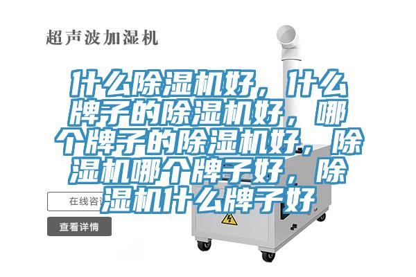 什么除湿机好,什么牌子的除湿机好,哪个牌子的除湿机好,除湿机哪个牌子好,除湿机什么牌子好