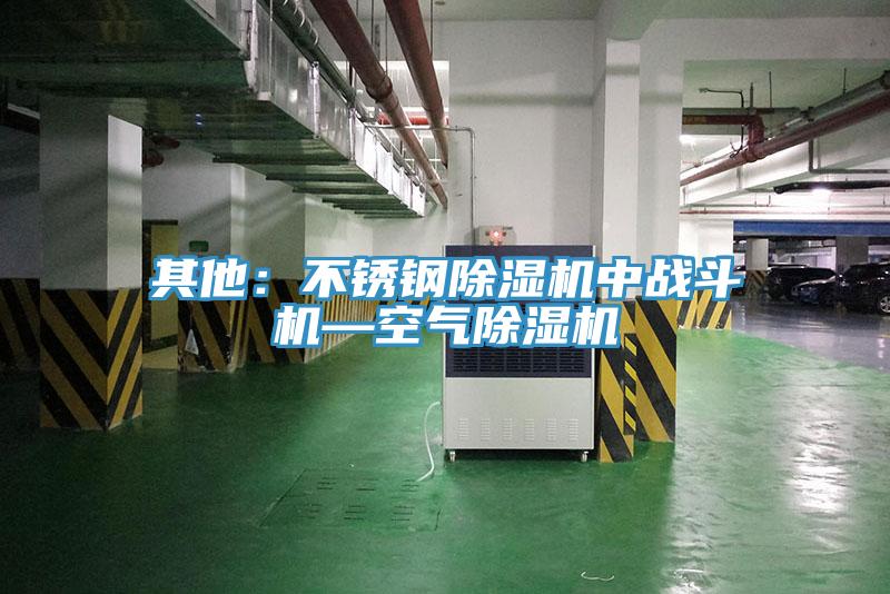 其他:不锈钢除湿机中战斗机—空气除湿机