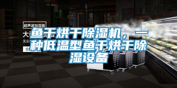 鱼干烘干除湿机,一种低温型鱼干烘干除湿设备