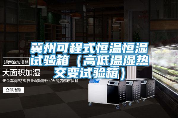 冀州可程式恒温恒湿试验箱（高低温湿热交变试验箱）