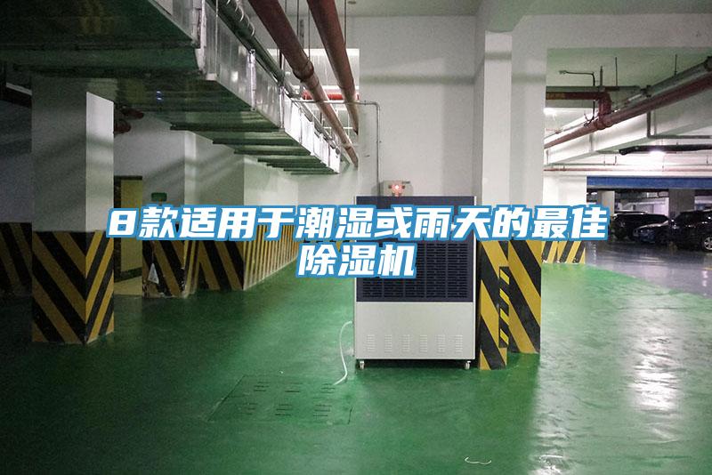 8款适用于潮湿或雨天的最佳除湿机