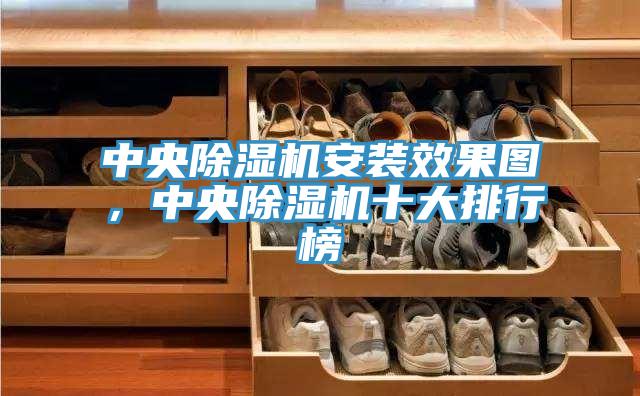 中央除湿机安装效果图，中央除湿机十大排行榜