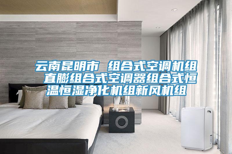 云南昆明市 组合式空调机组 直膨组合式空调器组合式恒温恒湿净化机组新风机组
