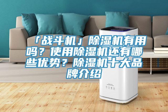 「战斗机」除湿机有用吗？使用除湿机还有哪些优势？除湿机十大品牌介绍