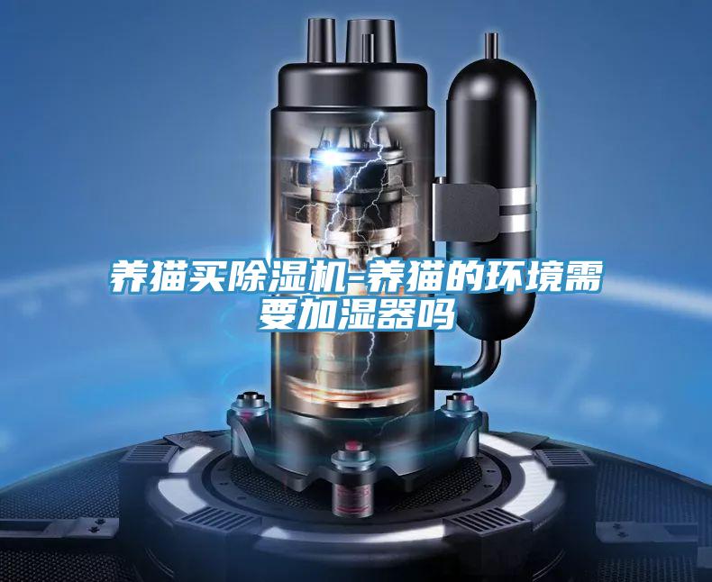 养猫买除湿机-养猫的环境需要加湿器吗