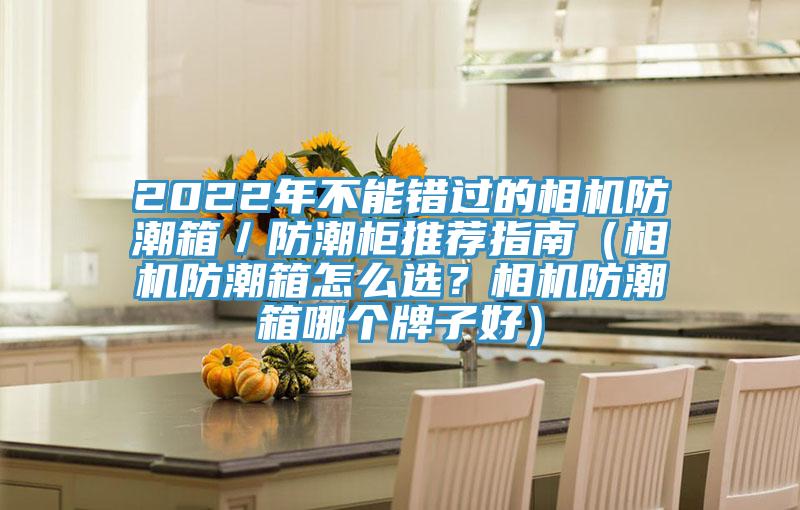 2022年不能错过的相机防潮箱/防潮柜推荐指南(相机防潮箱怎么选?相机防潮箱哪个牌子好)