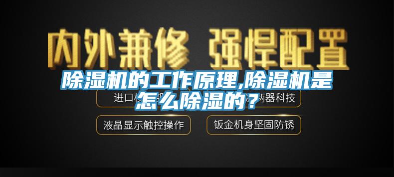 除湿机的工作原理,除湿机是怎么除湿的?