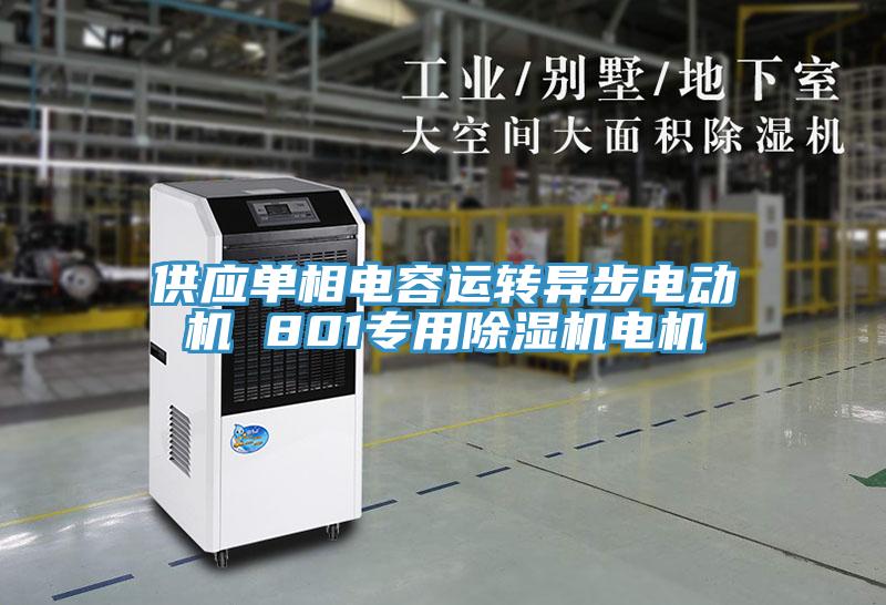 供应单相电容运转异步电动机 801专用除湿机电机