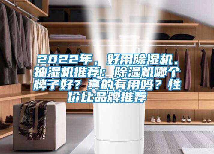 2022年，好用除湿机、抽湿机推荐：除湿机哪个牌子好？真的有用吗？性价比品牌推荐