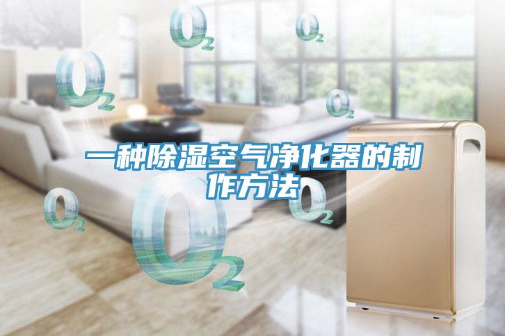 一种除湿空气净化器的制作方法