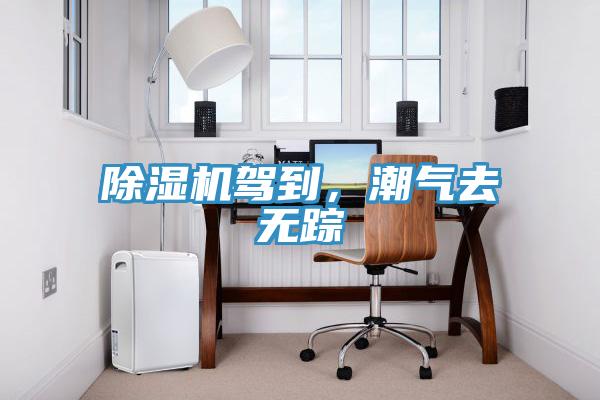 除湿机驾到,潮气去无踪