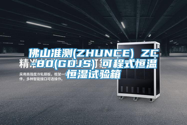 佛山准测(ZHUNCE) ZC-80(GDJS) 可程式恒温恒湿试验箱