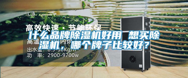 什么品牌除湿机好用 想买除湿机，哪个牌子比较好？