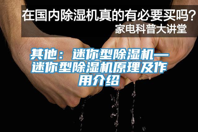 其他:迷你型除湿机—迷你型除湿机原理及作用介绍