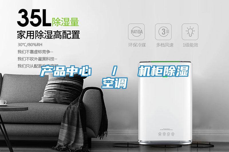 产品中心 / 机柜除湿空调
