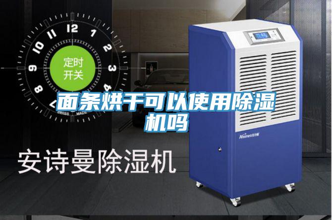 面条烘干可以使用除湿机吗