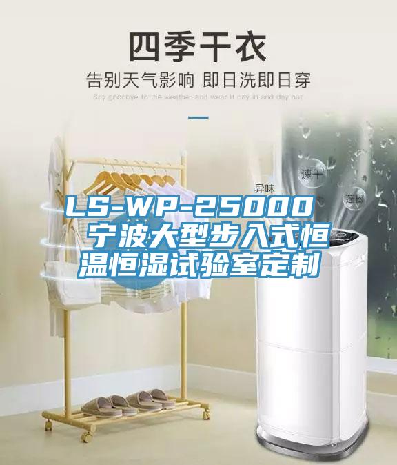LS-WP-25000 宁波大型步入式恒温恒湿试验室定制