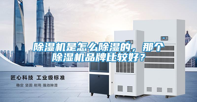 除湿机是怎么除湿的，那个除湿机品牌比较好？