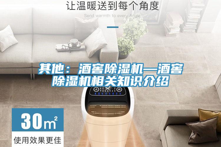 其他:酒窖除湿机—酒窖除湿机相关知识介绍