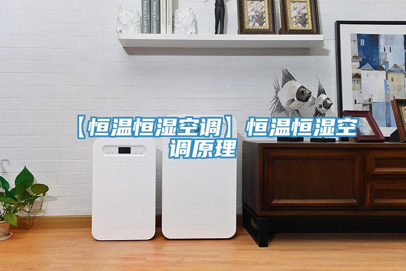 【恒温恒湿空调】恒温恒湿空调原理