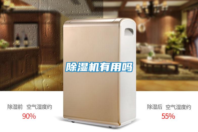 除湿机有用吗