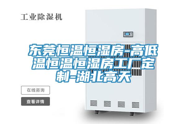 东莞恒温恒湿房-高低温恒温恒湿房工厂定制-湖北高天