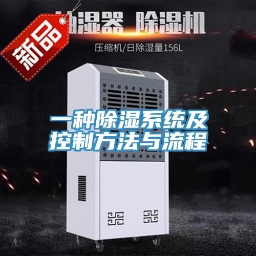 一种除湿系统及控制方法与流程