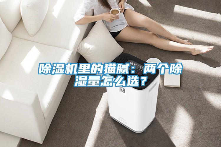 除湿机里的猫腻：两个除湿量怎么选？