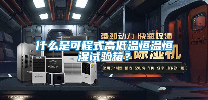 什么是可程式高低温恒温恒湿试验箱？