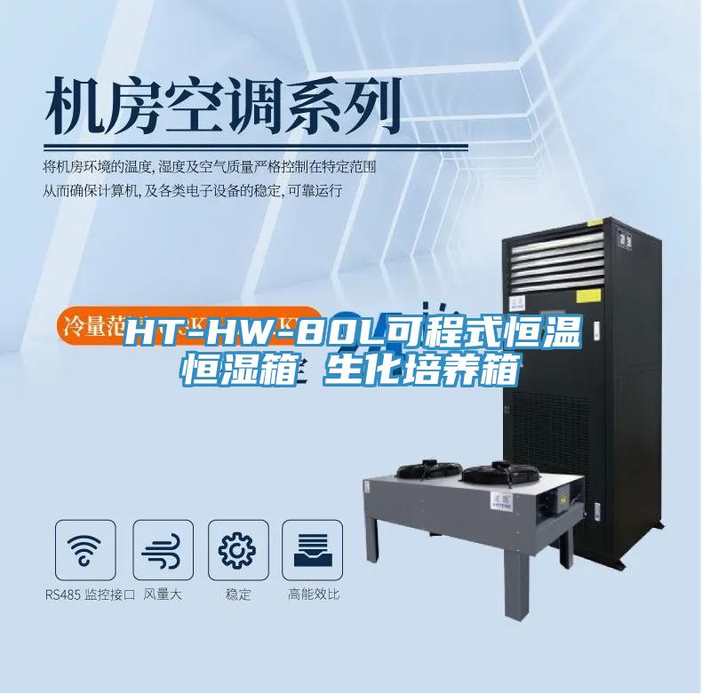 HT-HW-80L可程式恒温恒湿箱 生化培养箱