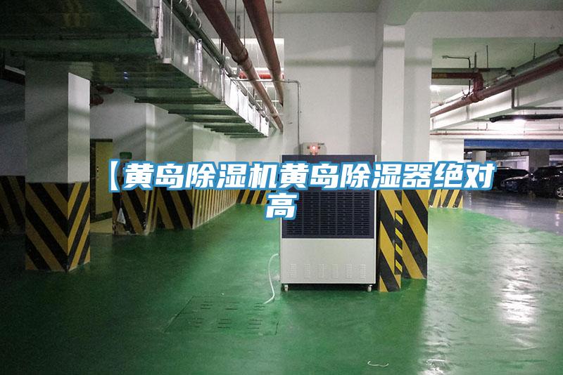 【黄岛除湿机黄岛除湿器绝对高