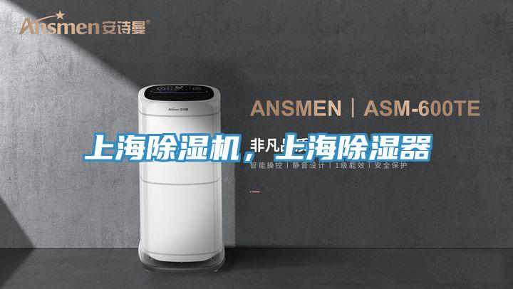 上海除湿机,上海除湿器