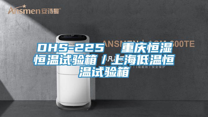 DHS-225 重庆恒湿恒温试验箱/上海低温恒温试验箱