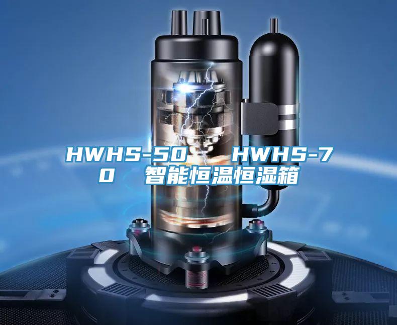 HWHS-50   HWHS-70  智能恒温恒湿箱