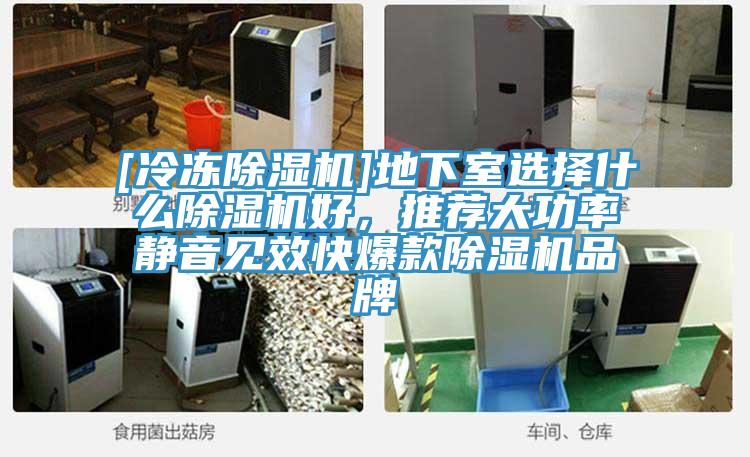 [冷冻除湿机]地下室选择什么除湿机好，推荐大功率静音见效快爆款除湿机品牌