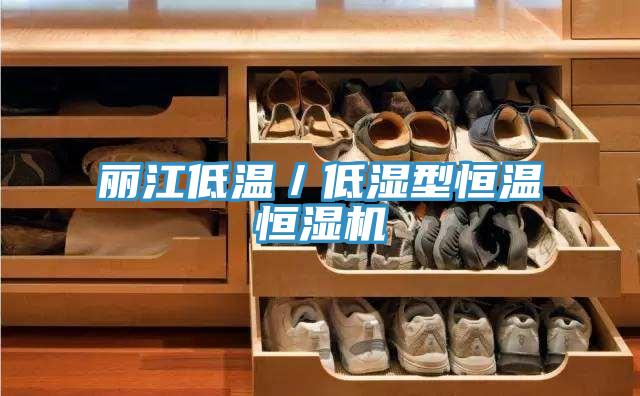 丽江低温/低湿型恒温恒湿机