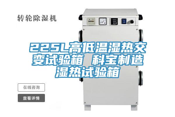 225L高低温湿热交变试验箱 科宝制造湿热试验箱