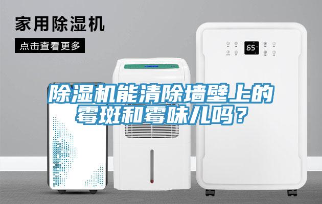 除湿机能清除墙壁上的霉斑和霉味儿吗？