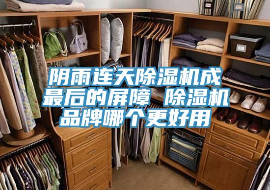 阴雨连天除湿机成最后的屏障 除湿机品牌哪个更好用