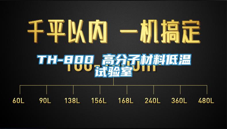 TH-800 高分子材料低温试验室